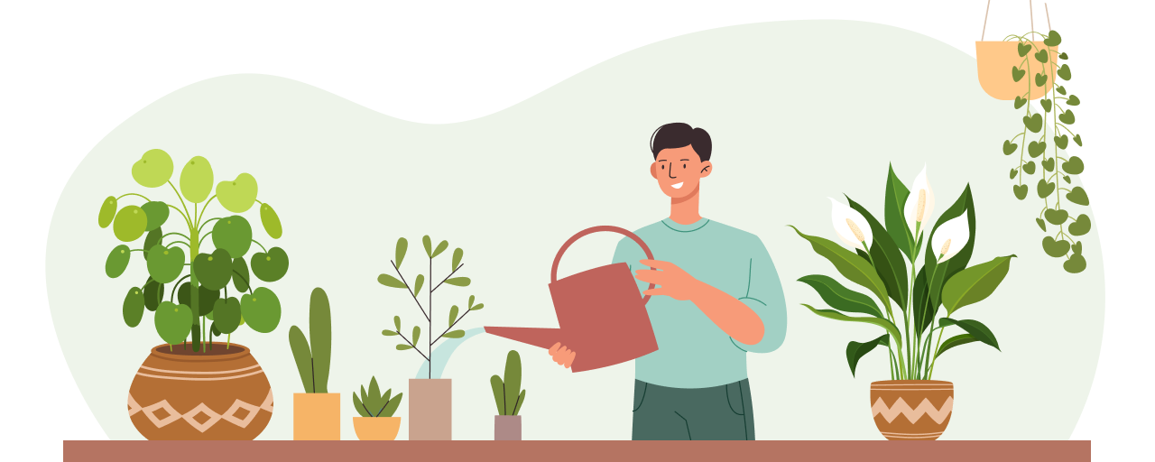 Plant Man